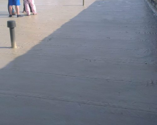 IMAG1992 (1)-cropped